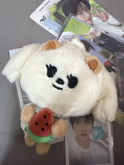 西瓜嘻嘻 直出不綁