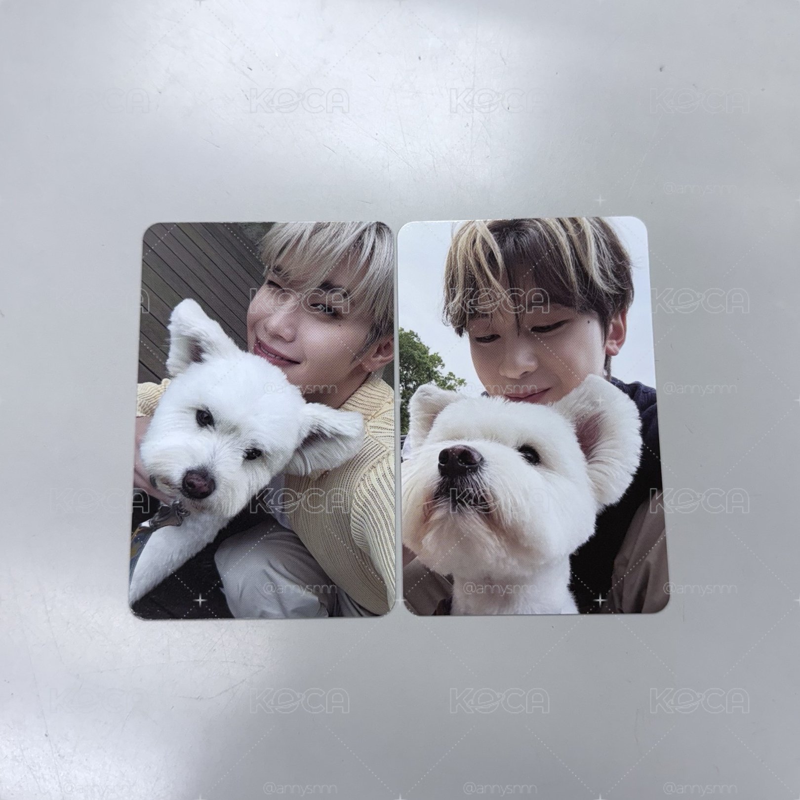 團封狗狗卡🐶