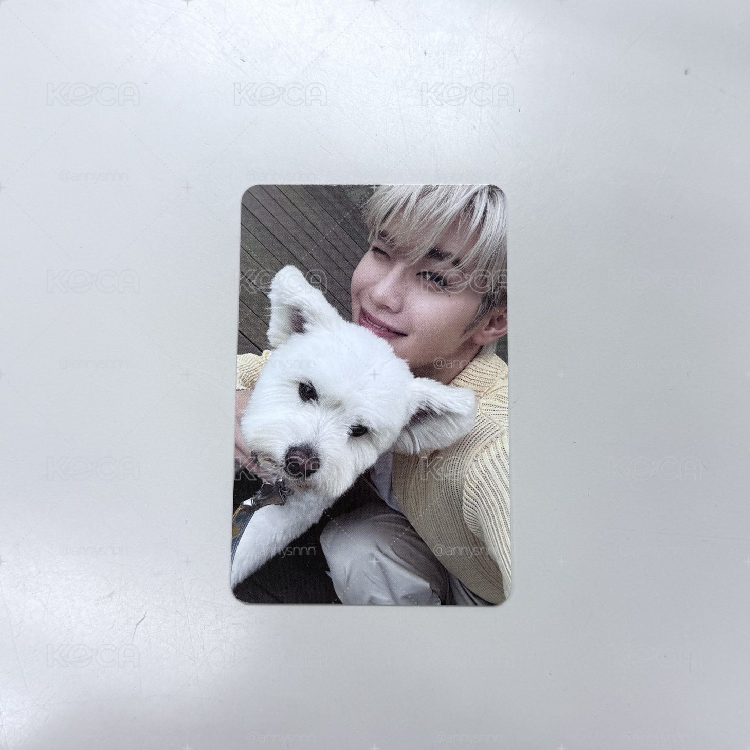 團封狗狗卡🐶