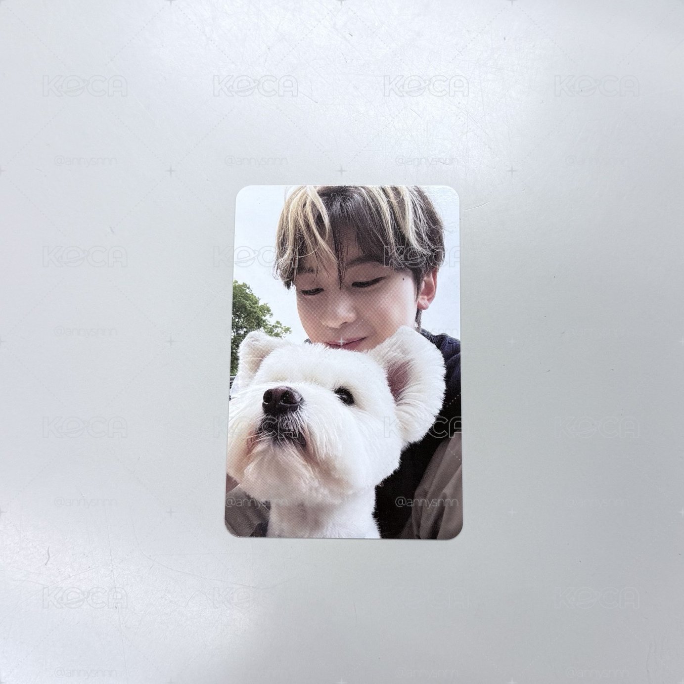 團封狗狗卡🐶