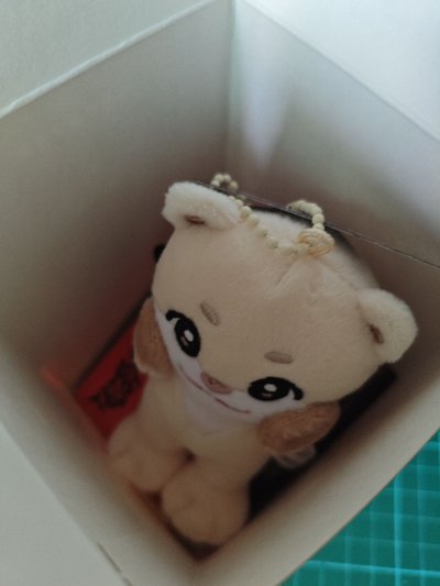 Yutie Harubear 娃專