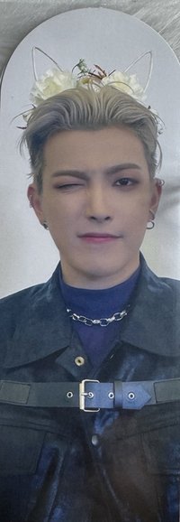 Fever pt.2 br 書籤 