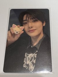 skzoo電子雞寅卡