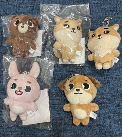 DAY6 DENIMALZ 11cm 鏈條娃 FOREVER YOUNG 日週