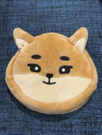 KE（無原袋，有帶出去過）