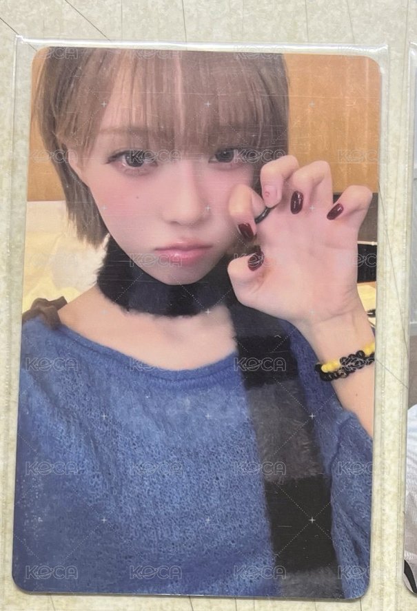 🐱爪