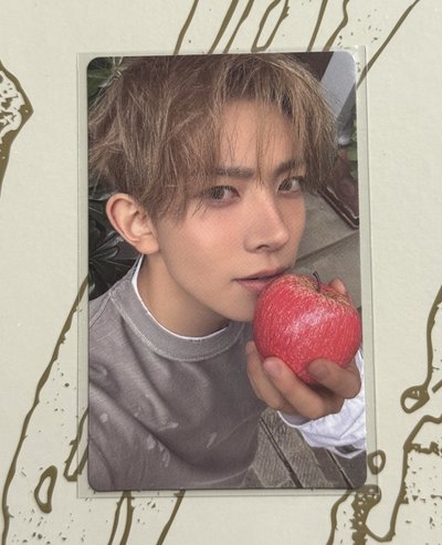 SC直播 PB版 單特典卡 羲承 綜星 禎元