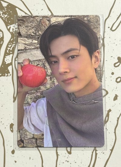 SC直播 PB版 單特典卡 羲承 綜星 禎元