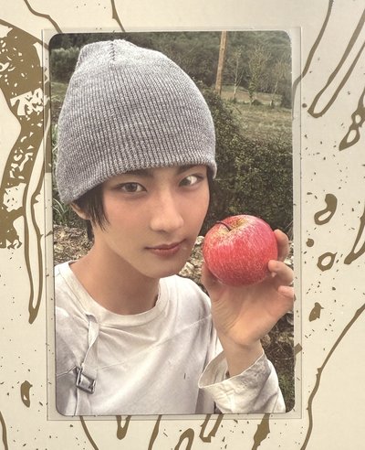 SC直播 PB版 單特典卡 羲承 綜星 禎元