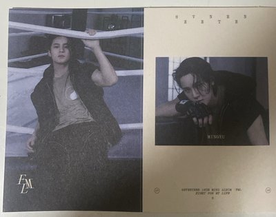 svt專輯裡面的隨機物