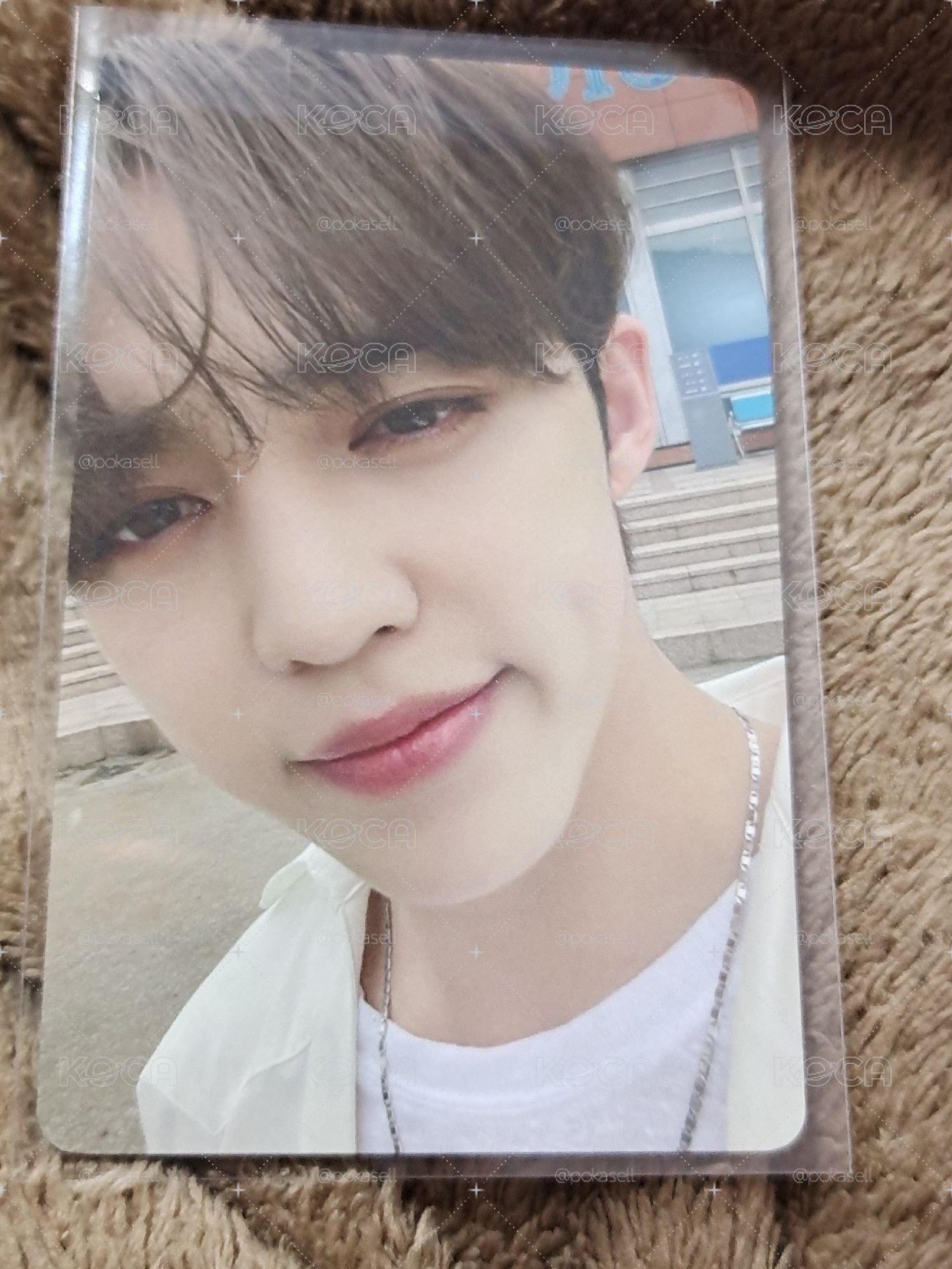 sector 17 wvs jp 特典卡 scoups
