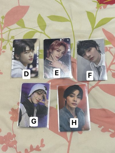 各成員小卡 （燦旻辰城菲玟寅）