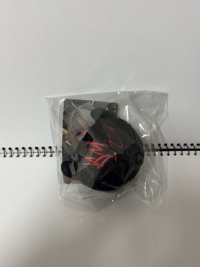 周邊藍、黑球卡雅賢 現貨