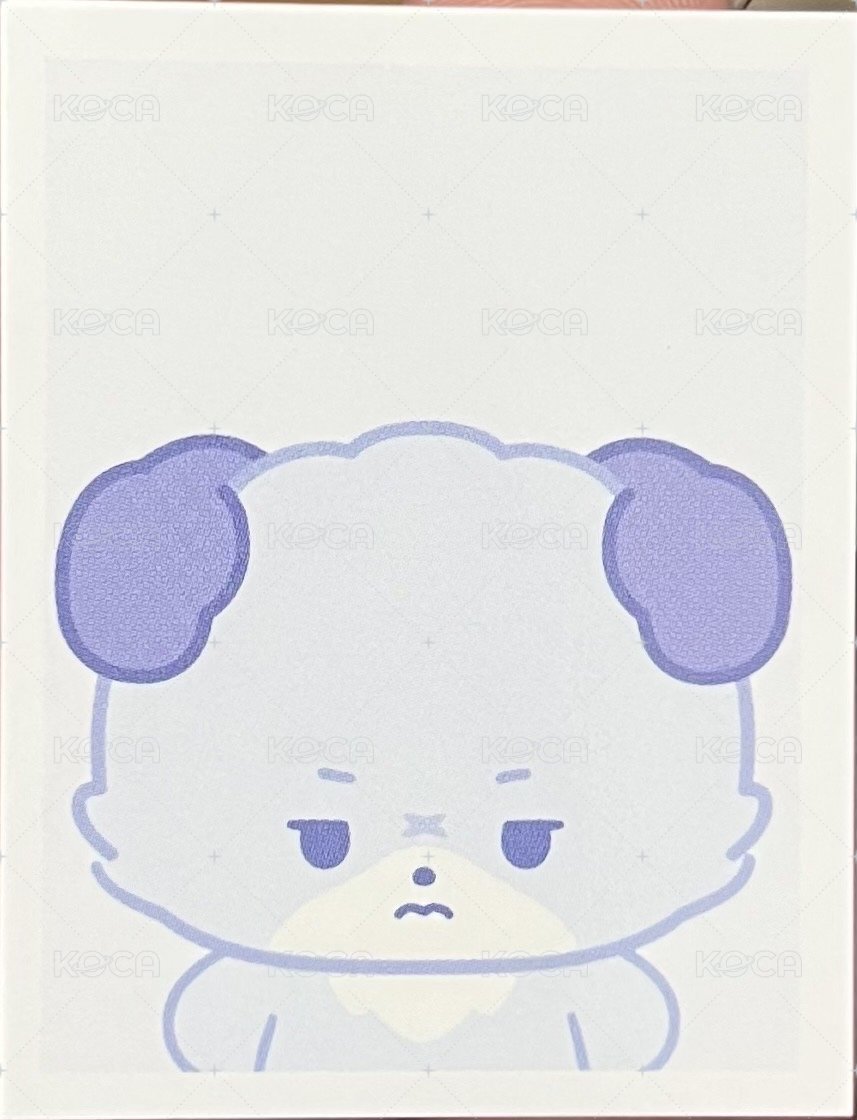 <Beautiful Mind>World Tour 周邊卡 ID證件照 背面