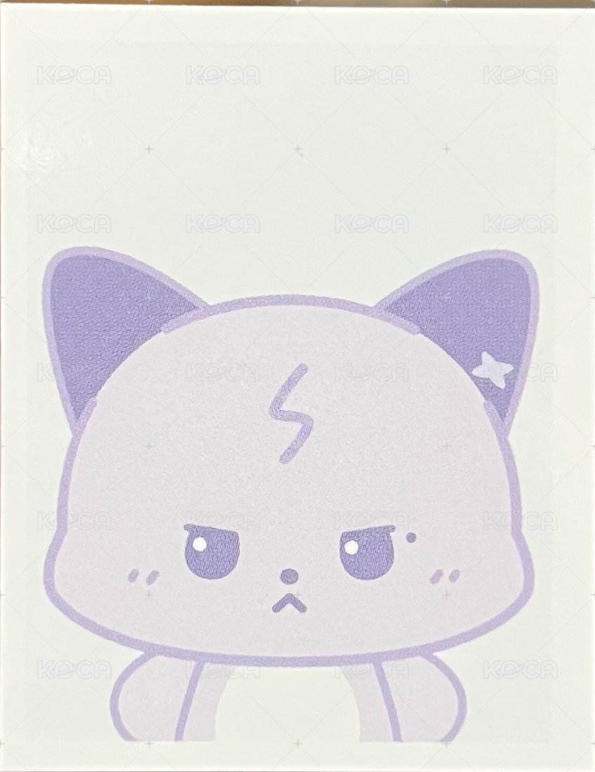 <Beautiful Mind>World Tour 周邊卡 ID證件照 背面