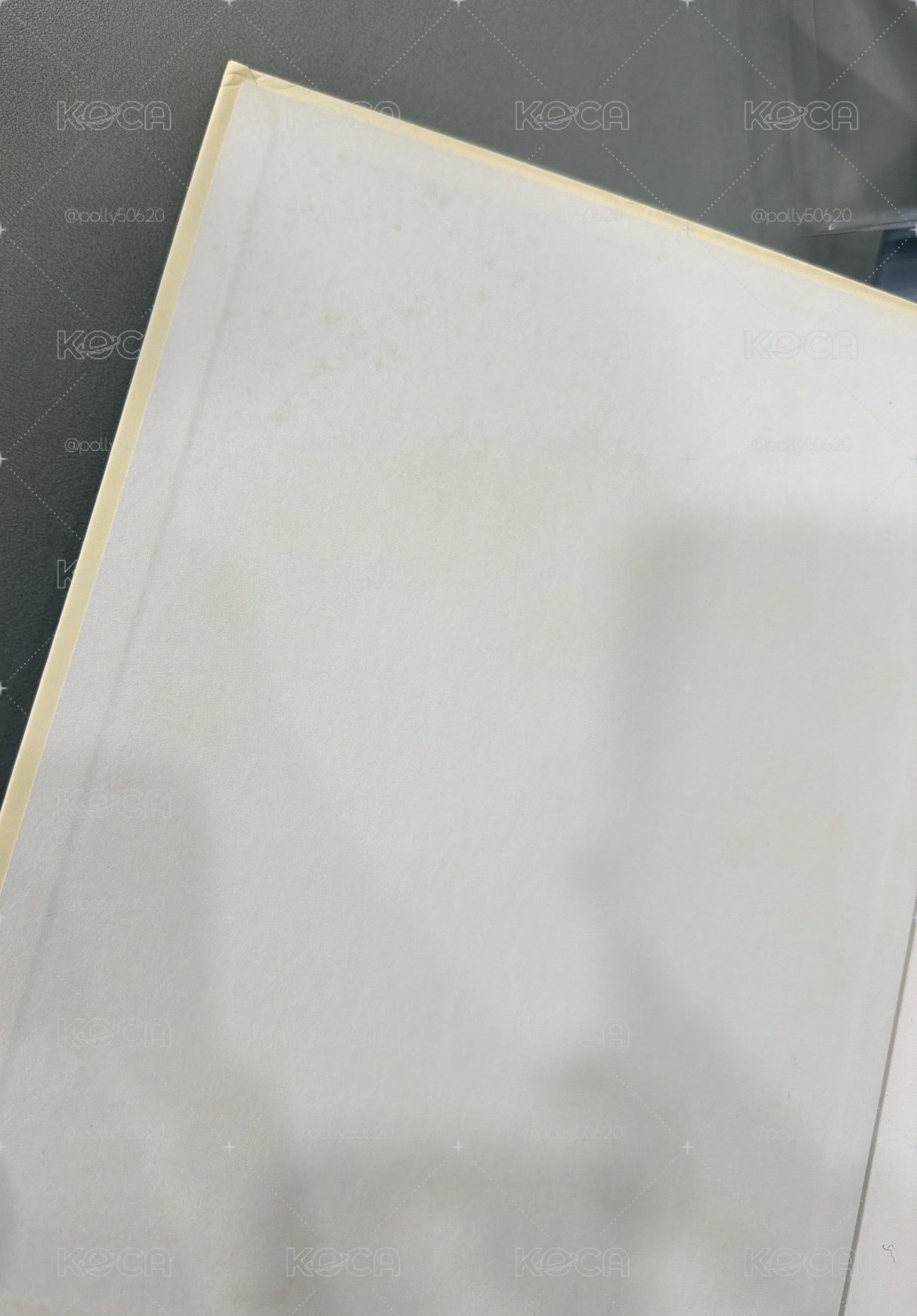 TWICE Yes I am Tzuyu 1st photobook黃版（無小卡）