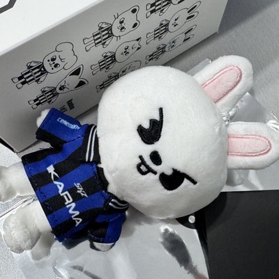 KARMA 電子專 SKZOO ver. 李畢 Lee Know