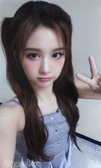 FORWARD ms 線上 17.0 簽售卡 0.5