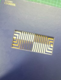 迷二 專輯 UP Ver.（專輯邊邊有損）