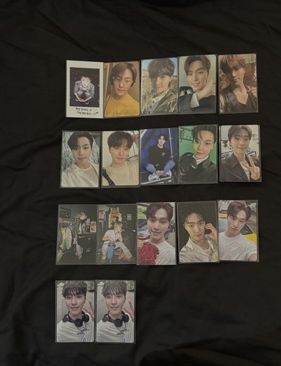 SVT DINO 李燦 🦦🦖