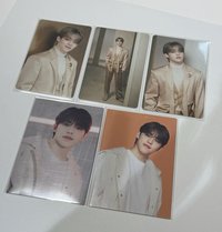 follow again right here 喆🦁崔勝哲 崔勝喆