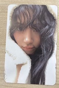 彩-專卡1 熊熊帽