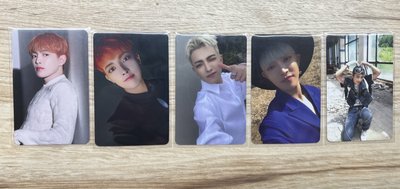 一些考古中中🐿️造型