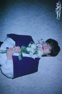 We STAY, together 明信片 E版