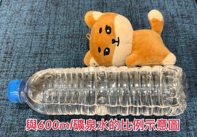 DAY6 DENIMALZ 暖手娃 2024 The Present