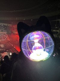 一山有狐狸