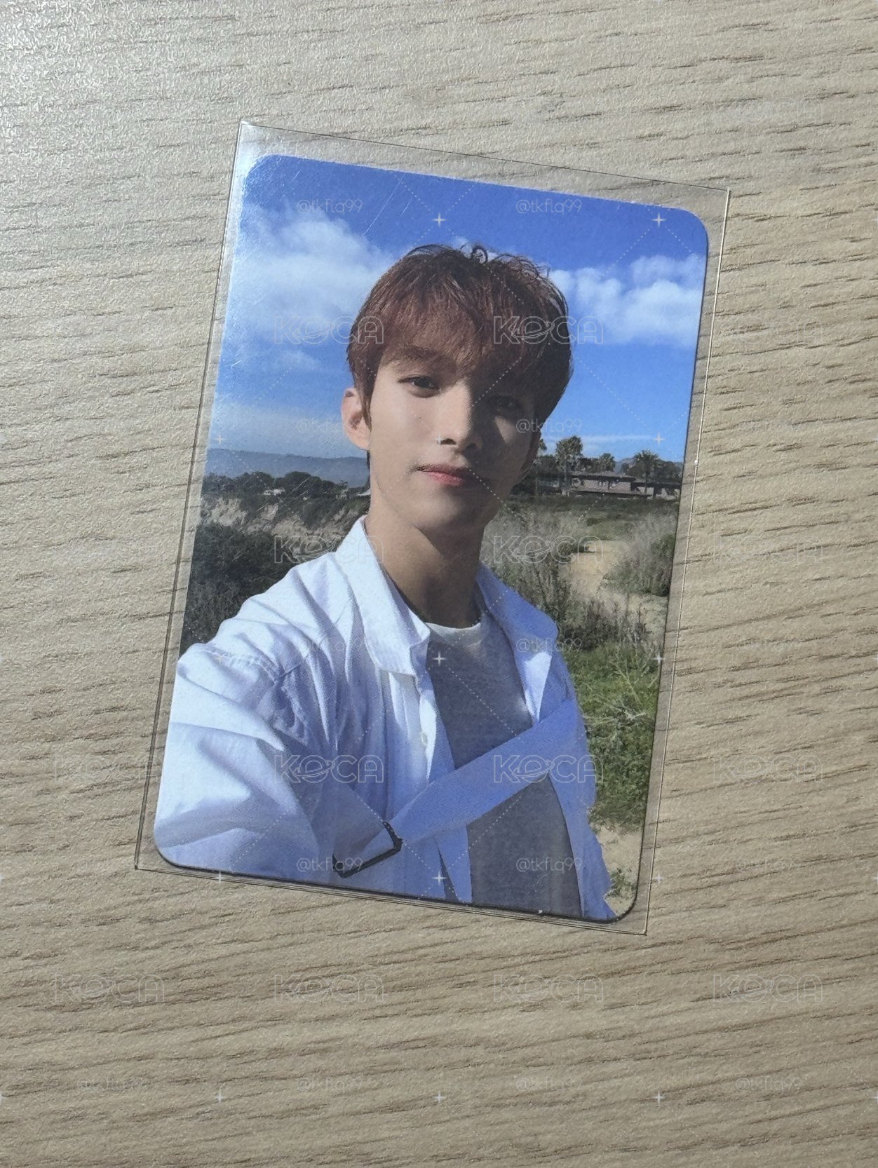 SEVENTEEN 迷七專卡 DK 李碩珉
