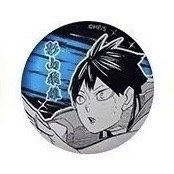 JS 第二彈浮雕 徽章 影山