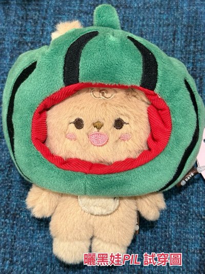 DAY6 娃衣 頭套 西瓜 餃子 吐司 FOREVER YOUNG 地方場週