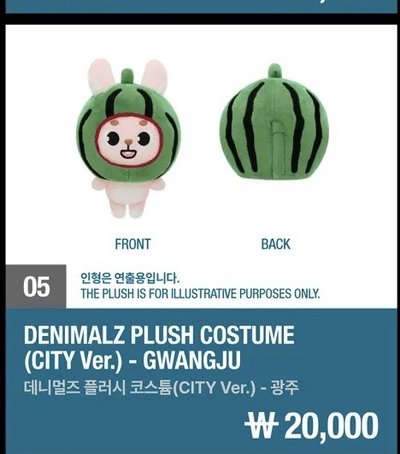 DAY6 娃衣 頭套 西瓜 餃子 吐司 FOREVER YOUNG 地方場週