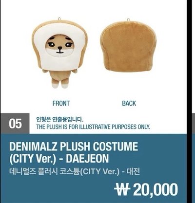 DAY6 娃衣 頭套 西瓜 餃子 吐司 FOREVER YOUNG 地方場週