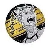 JS 第二彈浮雕 徽章 木兔