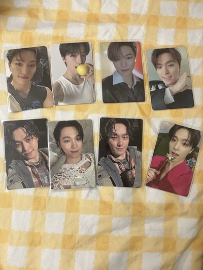 SEVENTEEN DINO 小卡