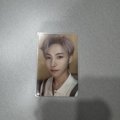 NCT Dream DREAM A DREAM ver.1 周邊卡 PB 寫真小卡 仁俊