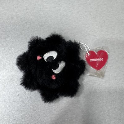 THE BOYZ 2ND WORLD TOUR : ZENERATION 吊娃 成員設計娃 善旴 娃娃 吊飾 玩偶