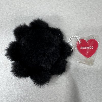 THE BOYZ 2ND WORLD TOUR : ZENERATION 吊娃 成員設計娃 善旴 娃娃 吊飾 玩偶