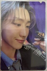 RH精選專 小八看蝴蝶