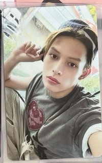 帽子戴歪歪的小貓凡