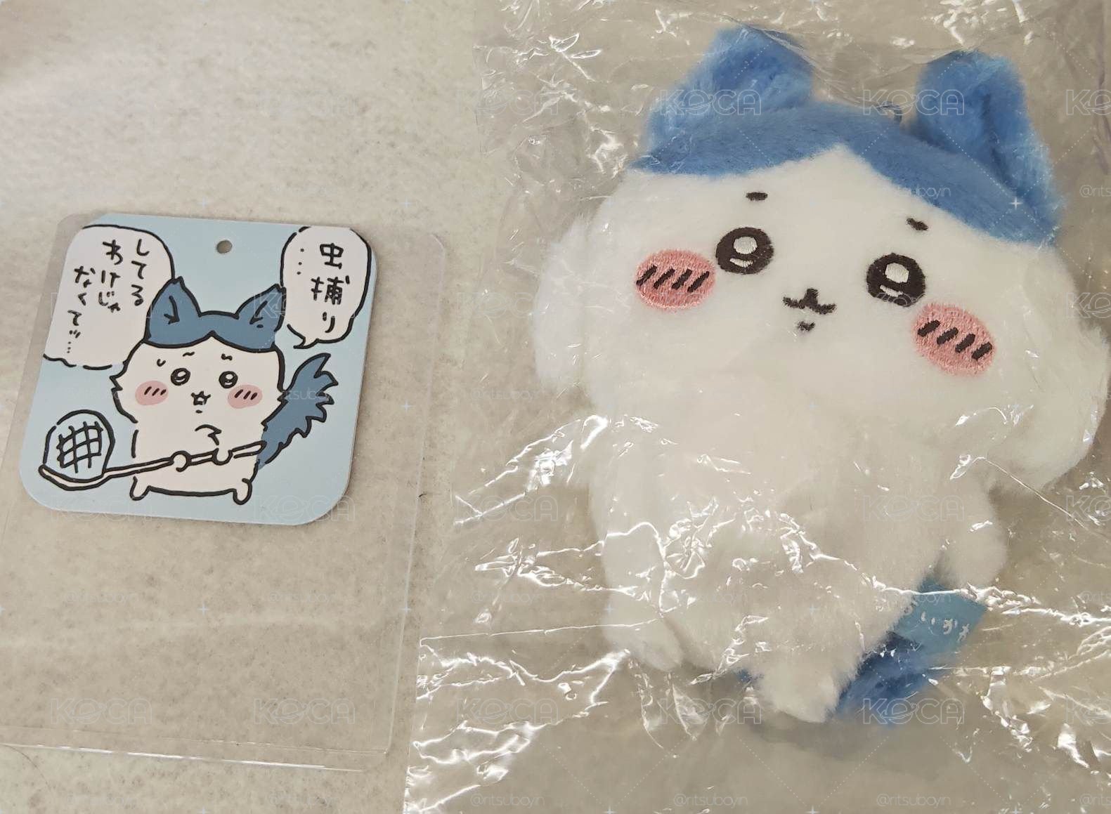 平行世界小八