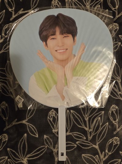 19 FM HANA 圓 大扇