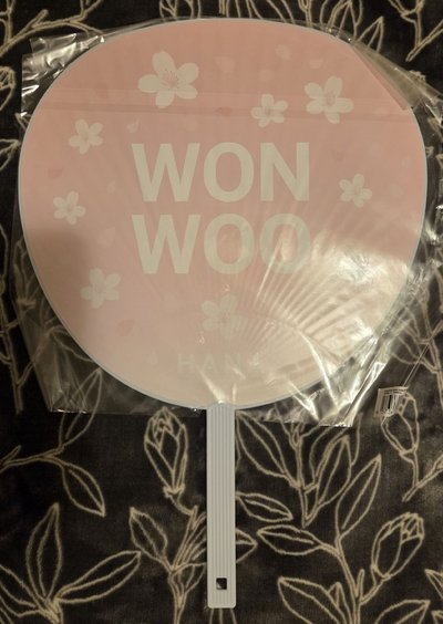 19 FM HANA 圓 大扇