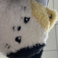 xiuu
