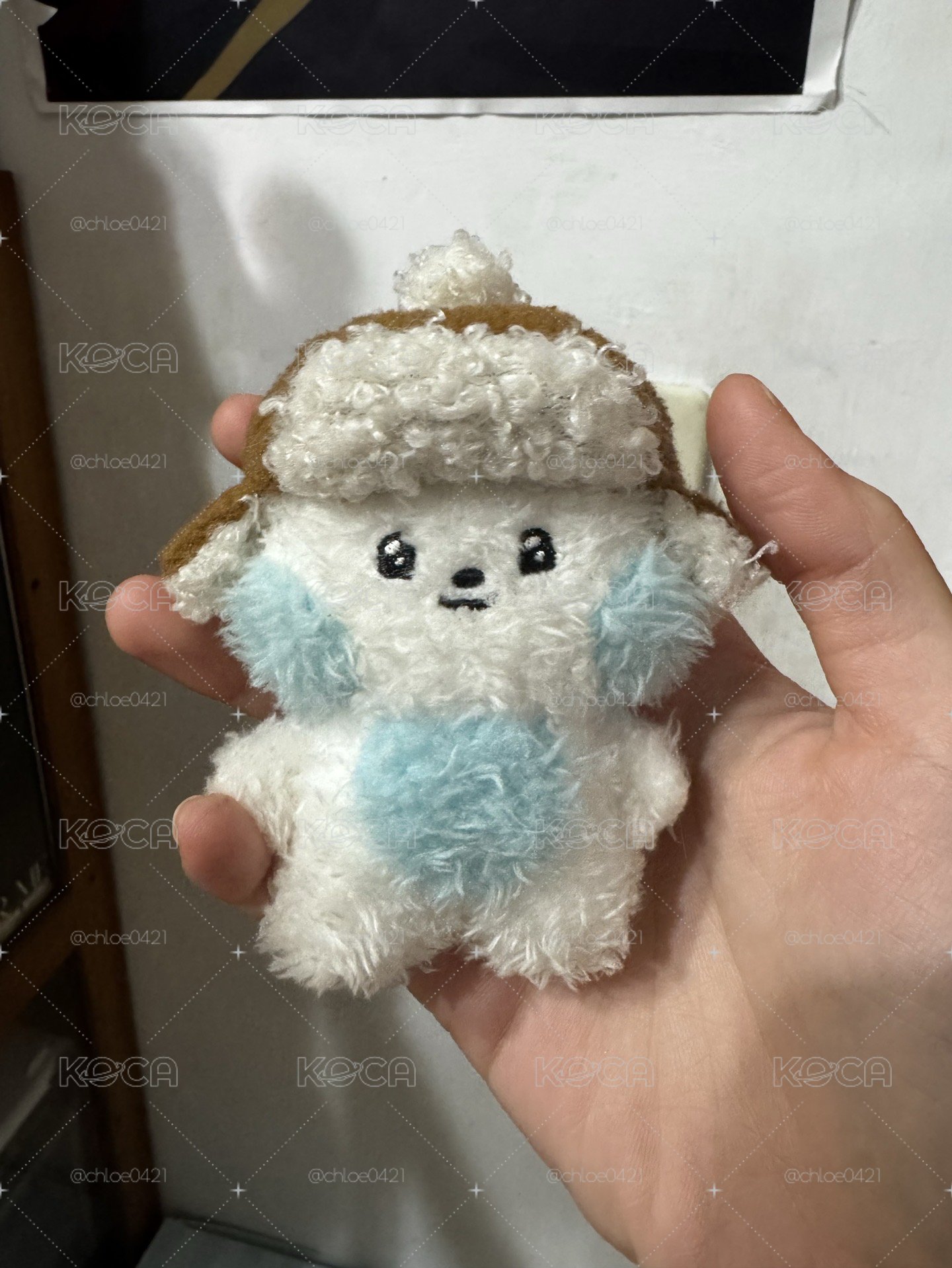 冬季奎尼尼+金地雄中背