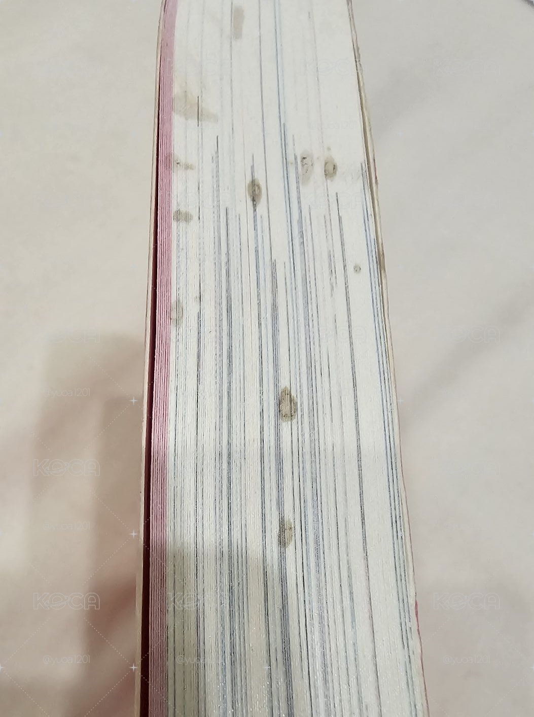 少女時代 oh gg 自拍書 太妍 潤娥 孝淵 俞利 sunny
