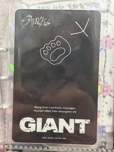 GIANT 通常盤專卡 菲