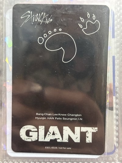 GIANT 通常盤專卡 燦